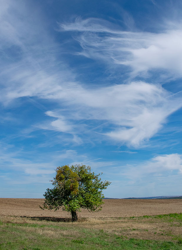 1 Eifel-Mosel-09---2018DSC_2662-1-Kopie.jpg - Spaziergang in der Nähe von Cochem